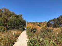 -白草畔自然风景区