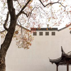 -Oasis Beauty水磨坊科技美肤中心