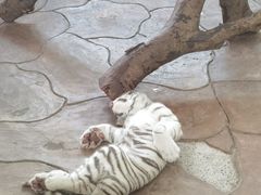 -宁波野生动物园