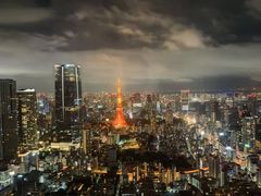 -六本木新城展望台(东京城市景观)