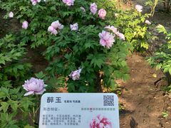 -仁和公园(顺义区)