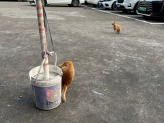 -颓记茶餐厅(美景总店)