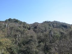 -山王坪喀斯特国家生态公园