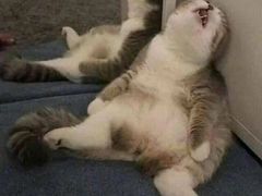 -考记泥焗鸡农庄·海鲜(北洛秘境店)