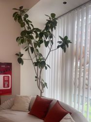 -WENDY·温迪皮肤管理