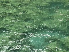 -沕沕水生态风景区