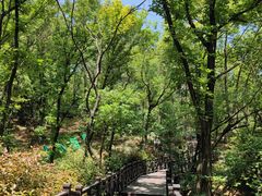 -虞山风景区