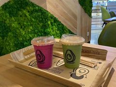 -油梨树AVOCADO TREE(嘉里中心店)