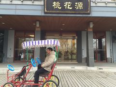 -金鸡湖桃花岛