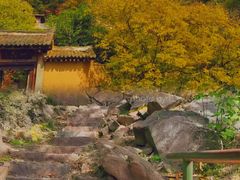 -秦岭风景区