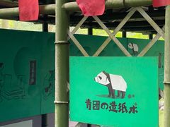 -都江堰中华大熊猫苑