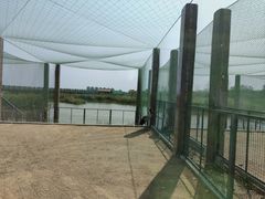 -盐城丹顶鹤湿地生态旅游区