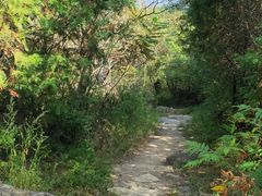 -云岫谷自然风景区
