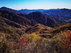 -大岭沟猕猴桃谷风景区
