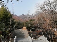 -石老人观光园