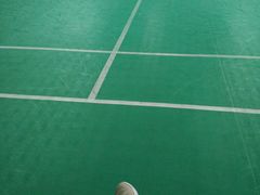 -侨飞羽毛球馆