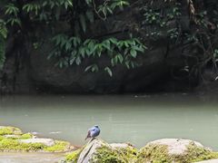 -龙水峡地缝景区