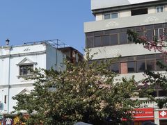 -佛山顺德香云纱园林酒店(清晖园店)