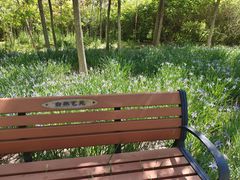 -天津东丽湖风景区