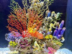 -成都浩海立方海洋公园