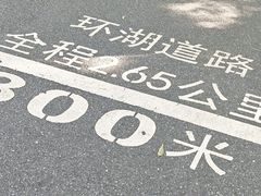 -海珠湖公园