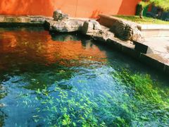 -百脉泉景区