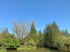 -上海滨江森林公园