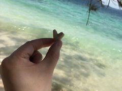 -东姑阿都拉曼海洋公园