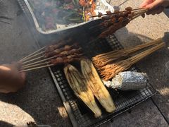-吴淞炮台湾湿地森林公园烧烤区