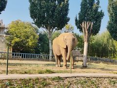 -石家庄市动物园