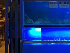 -協成海鮮火鍋(老店)