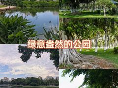 -万绿园