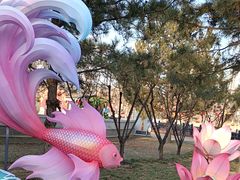 -西海子公园