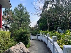 -顺峰山公园