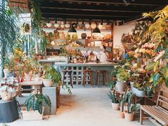 -自由生长植物工作室(深港花卉中心店)