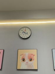 -洗脸猫·洗脸吧