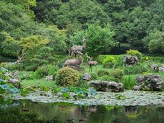 -杭州植物园
