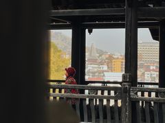 -深圳龙潭公园
