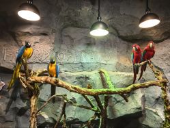 -Zoolung Zoolung动物主题公园(海信广场店)