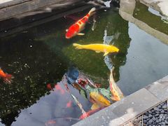 -西安市广仁寺