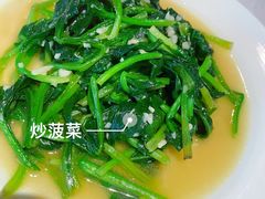 -鲨鱼醉鲜坊