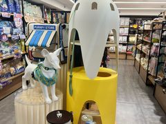 -爱派特动物医院·全科诊疗中心