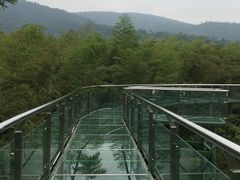 -陶祖圣境风景区