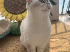 -芭比堂动物医院广州顽皮分院