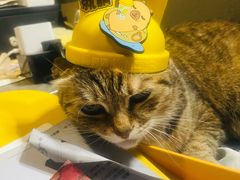 -1984魔法桌游(观音桥店)