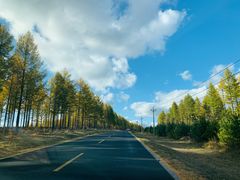 -塞罕坝国家级自然保护区