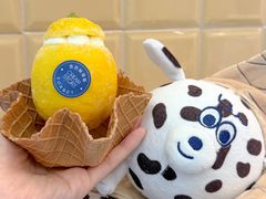 -CREAM STORY意大利手工冰淇淋&甜品(万象前海店)