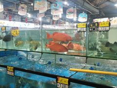 -绿雅居原生态农庄(小涌店)