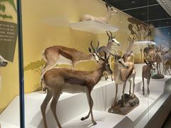 -陕西自然博物馆