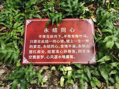 -鹿回头风景区